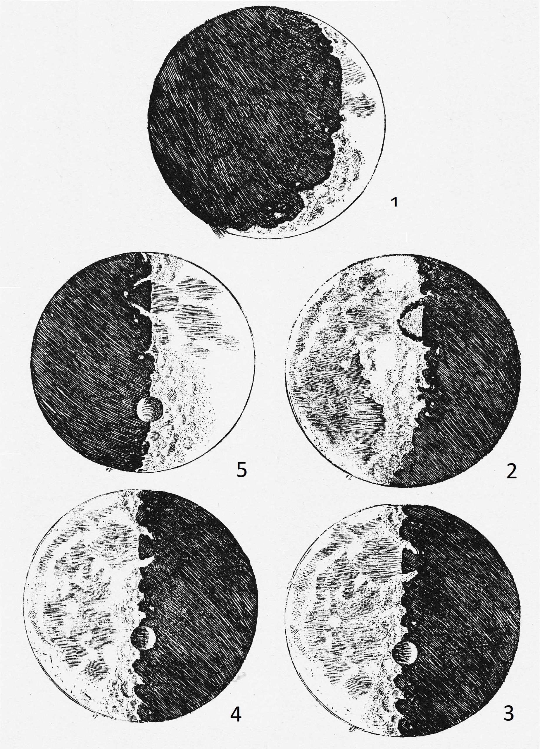 Four black-ink sketches of the Moon showing waxing crescent, first quarter, waning gibbous, last quarter (twice), respectively